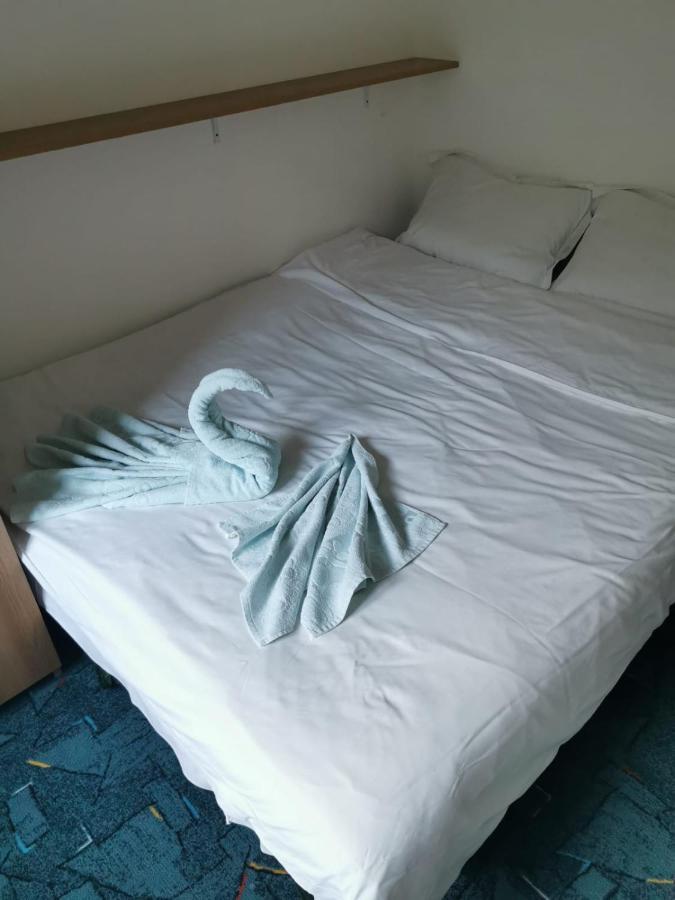 阿祖加Apartament Langa Castan公寓 外观 照片