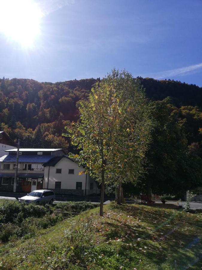 阿祖加Apartament Langa Castan公寓 外观 照片